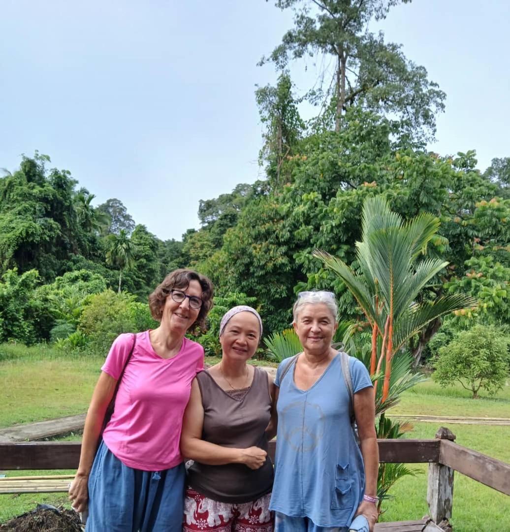 Mulu Tribal Homestay מראה חיצוני תמונה